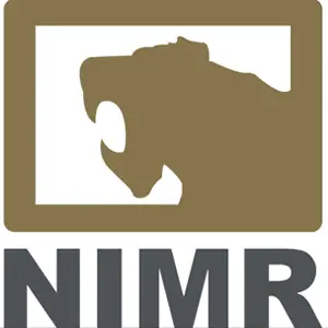 NIMR Automotive